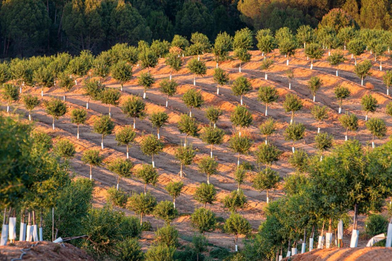 Casa Das Jardas Idanha-a-Nova Exteriér fotografie