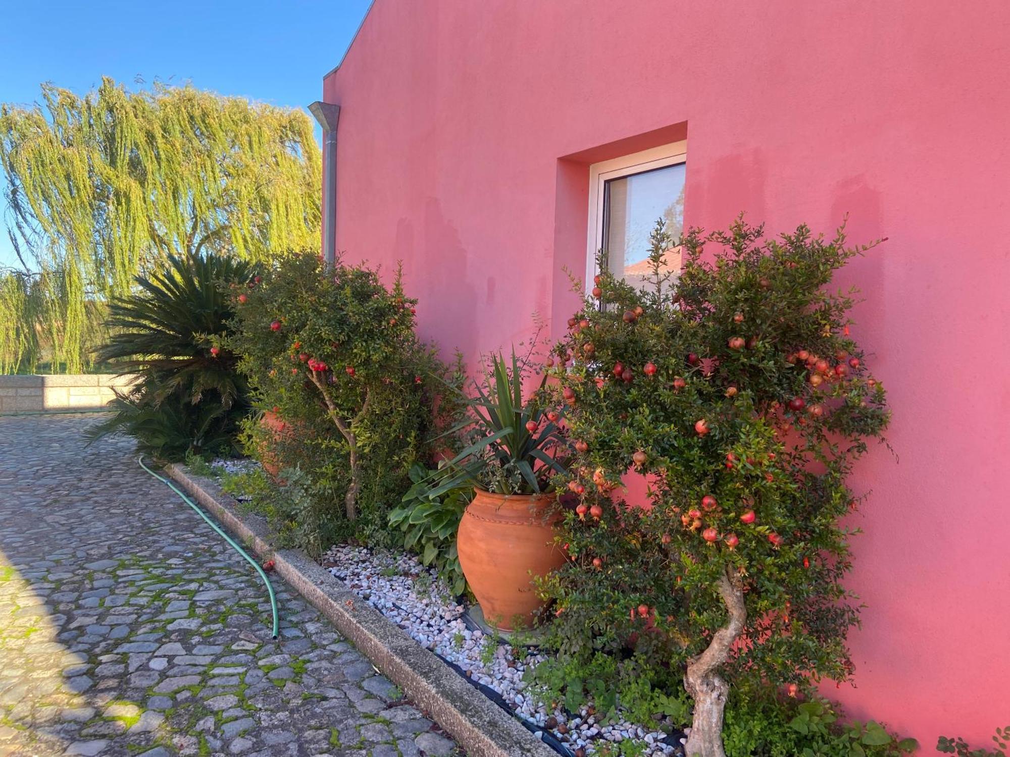 Casa Das Jardas Idanha-a-Nova Exteriér fotografie